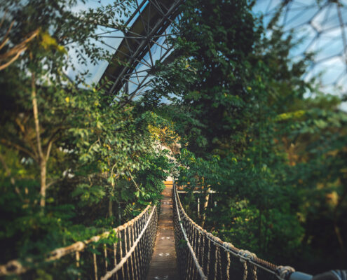 wobbly-bridge-eden-project-rainforest